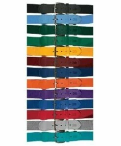 Budget 😀 Elastic ⚾ Baseball Belt - Alleson Athletic 🔔